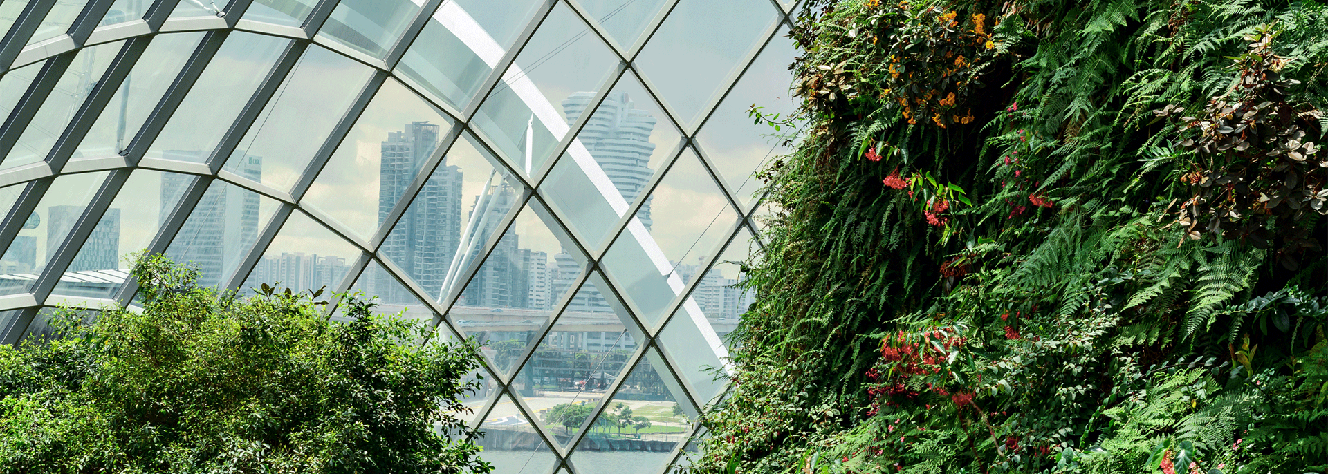 IMG Sustainability Sector WEB HEADER