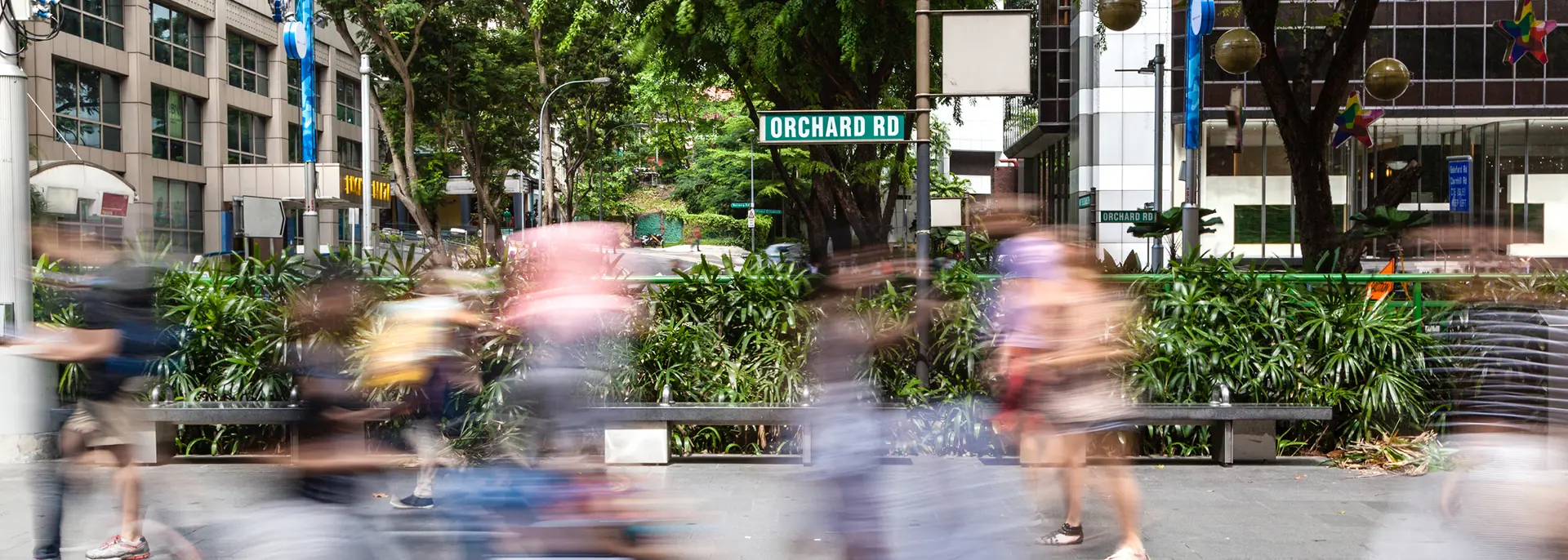 34 Cistri Orchard Road Gettyimages 531364229 HEADER HERO