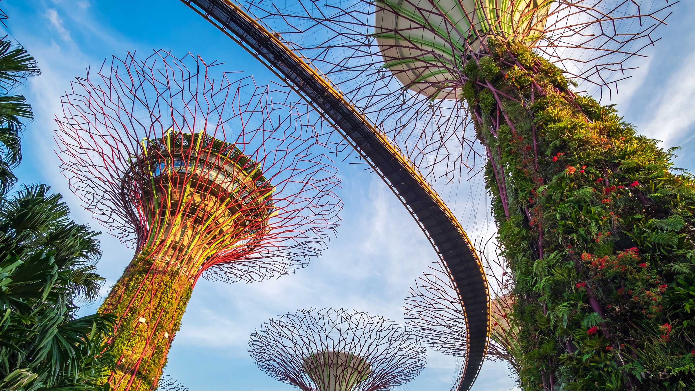25 Cistri Value Of Placemaking HEADER