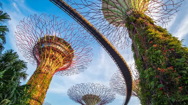 25 Cistri Value Of Placemaking HEADER