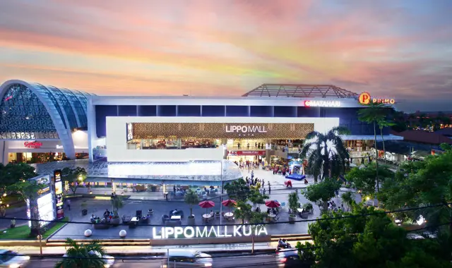 23 Cistri Lippo HEADER