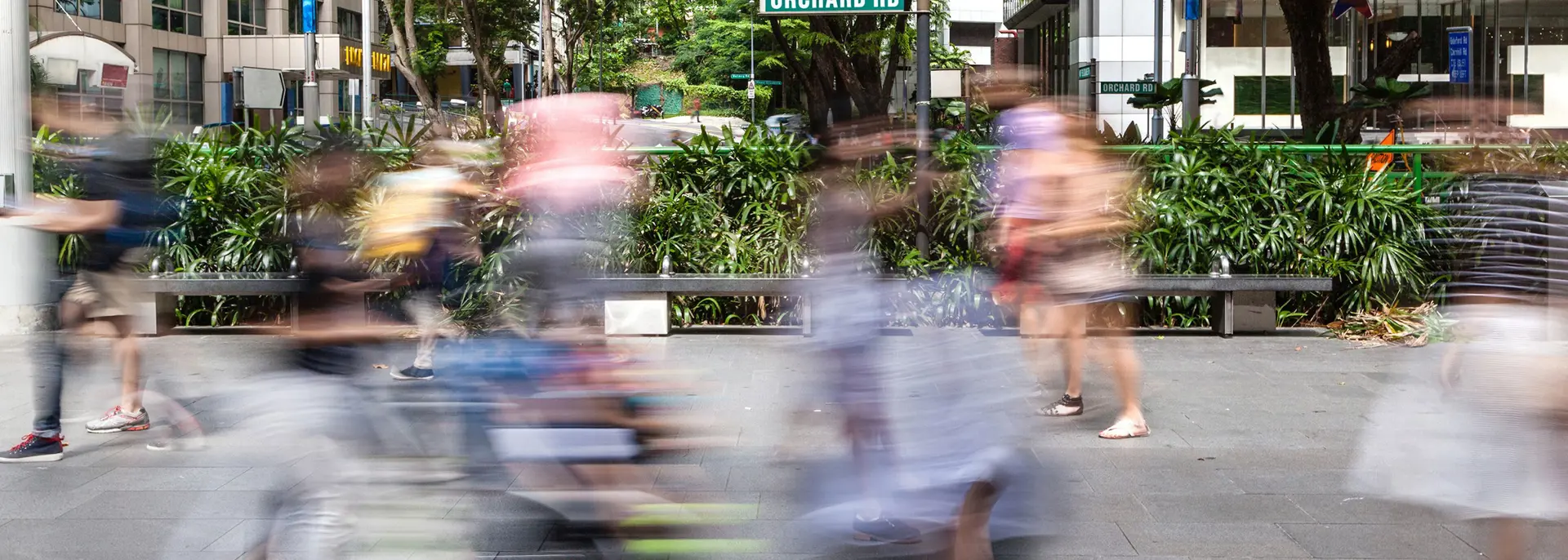 38 Cistri Orchard Road Vision HEADER